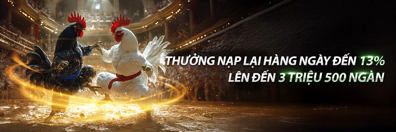 Đá Gà Trực Tiếp C3 8 7 - Trải nghiệm cá cược đỉnh cao